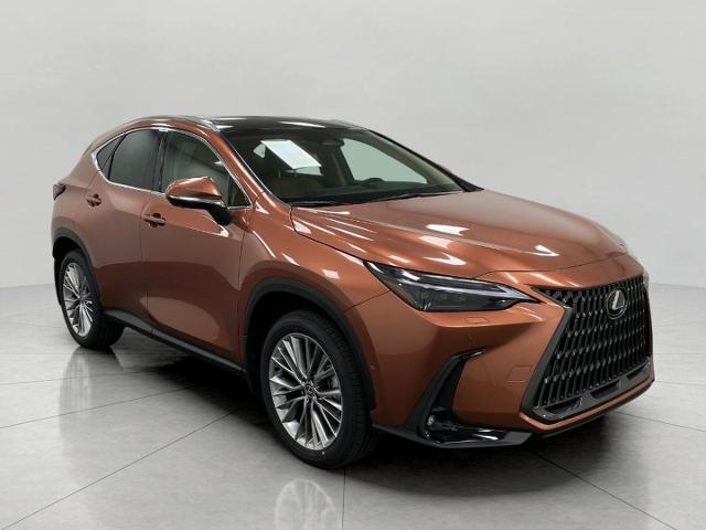 2025 Lexus NX 350 Vehicle Photo in Appleton, WI 54913
