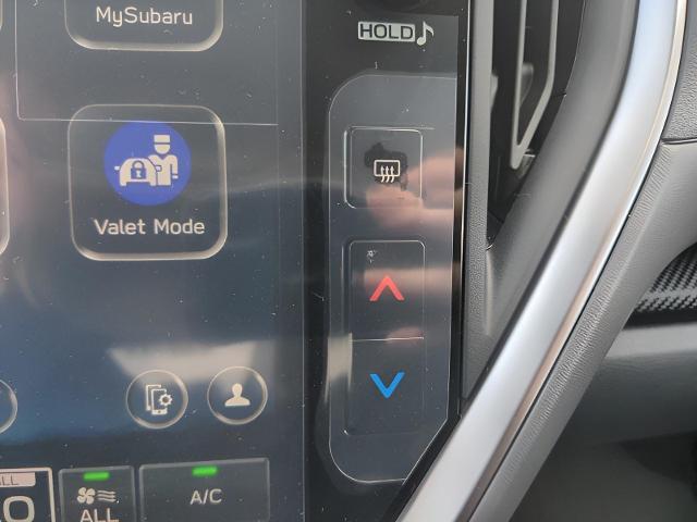 2025 Subaru Crosstrek Vehicle Photo in Green Bay, WI 54304