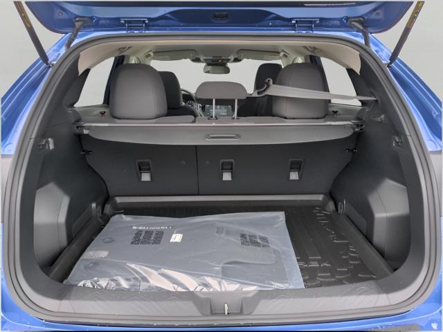2025 Subaru Crosstrek Vehicle Photo in Oshkosh, WI 54904