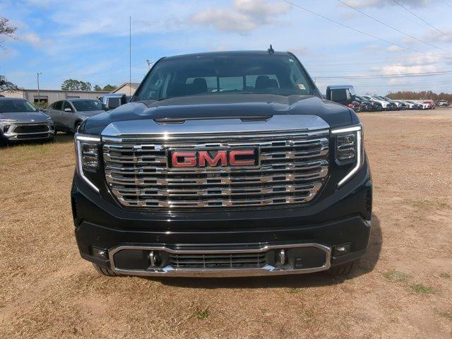 2025 GMC Sierra 1500 Vehicle Photo in ALBERTVILLE, AL 35950-0246
