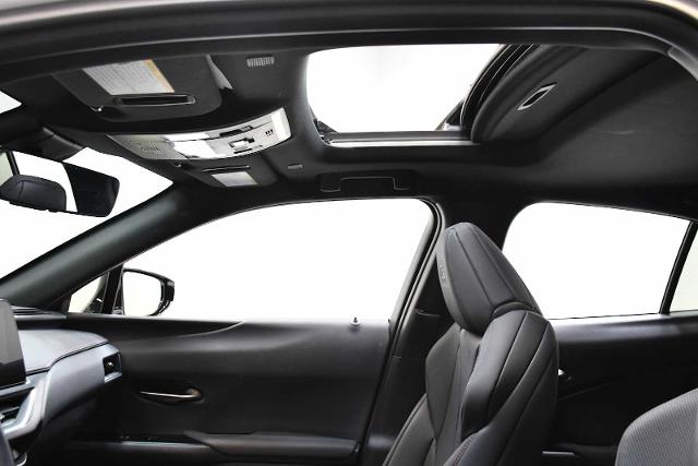 2023 Lexus UX 250h Vehicle Photo in DALLAS, TX 75235