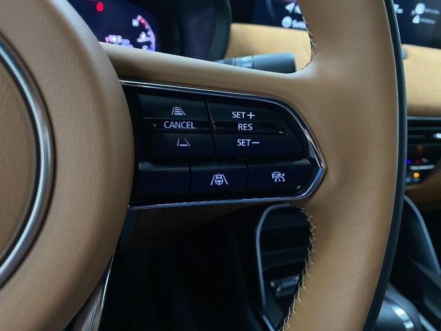 2025 Mazda CX-90 Vehicle Photo in Appleton, WI 54913