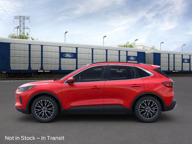 2024 Ford Escape Vehicle Photo in Winslow, AZ 86047-2439