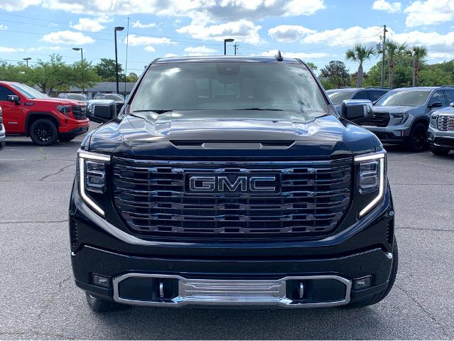 2025 GMC Sierra 1500 Vehicle Photo in BEAUFORT, SC 29906-4218