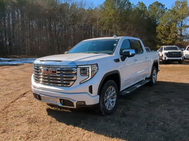 2025 GMC Sierra 1500 Vehicle Photo in ALBERTVILLE, AL 35950-0246