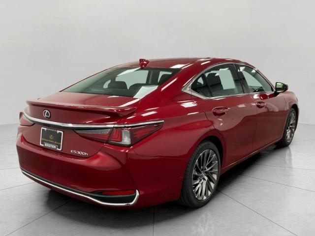 2024 Lexus ES 300h Vehicle Photo in Appleton, WI 54913