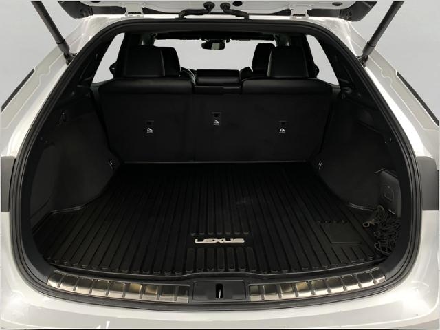 2024 Lexus RX 350 Vehicle Photo in Appleton, WI 54913