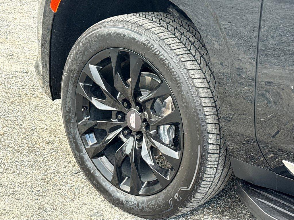 2024 Cadillac Escalade Vehicle Photo in SAVANNAH, GA 31406-4513
