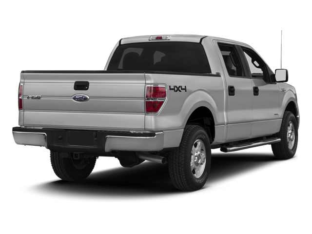 2013 Ford F-150 Vehicle Photo in San Antonio, TX 78230