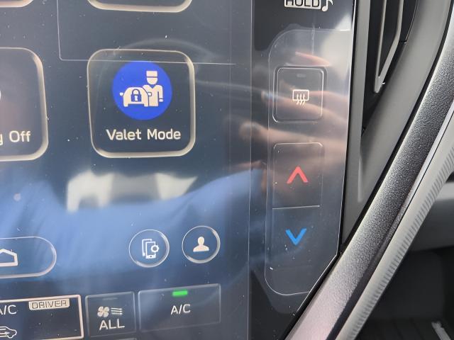 2025 Subaru Crosstrek Vehicle Photo in Oshkosh, WI 54904