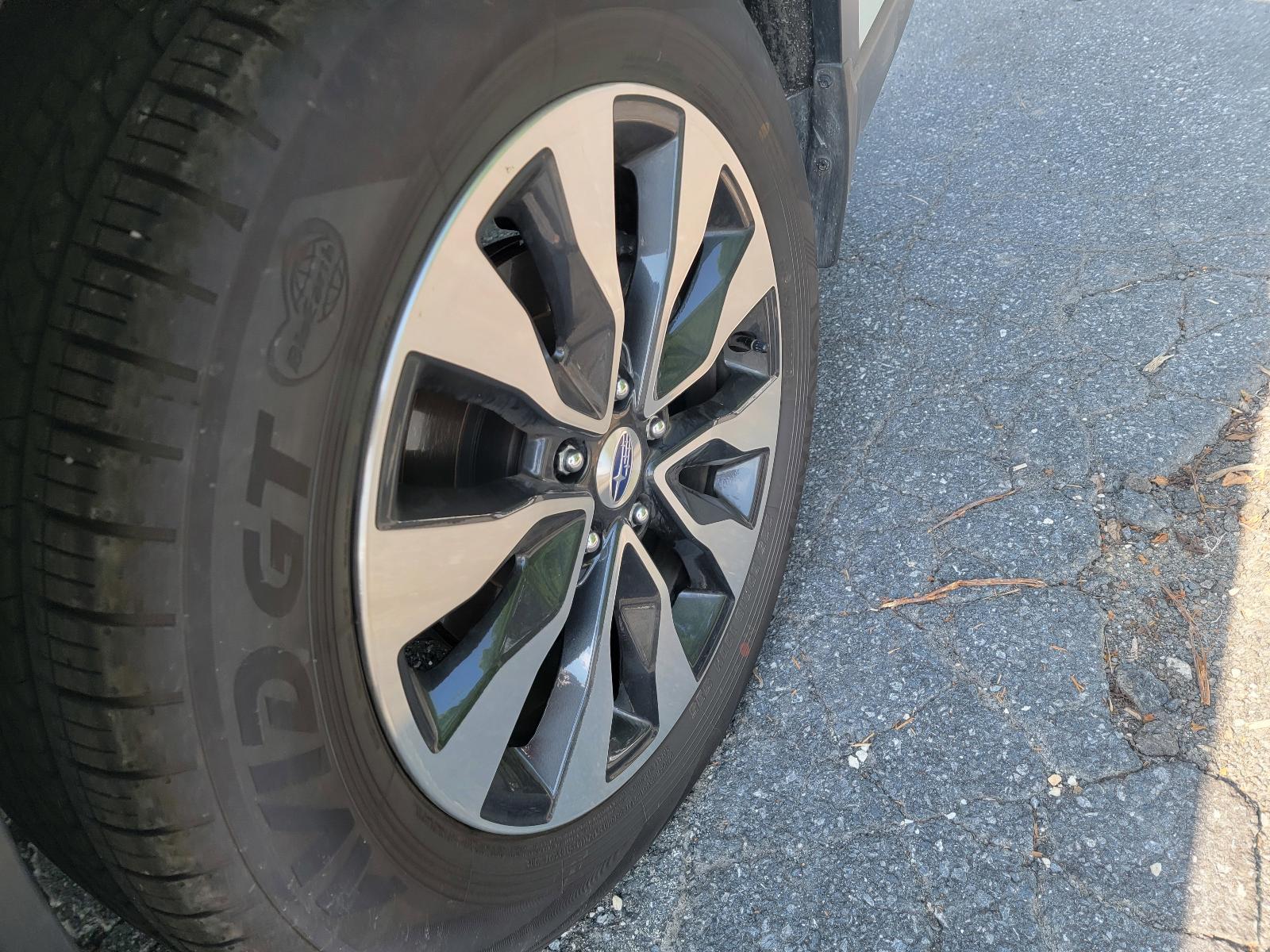 2024 Subaru Outback Vehicle Photo in Harrisburg, PA 17111