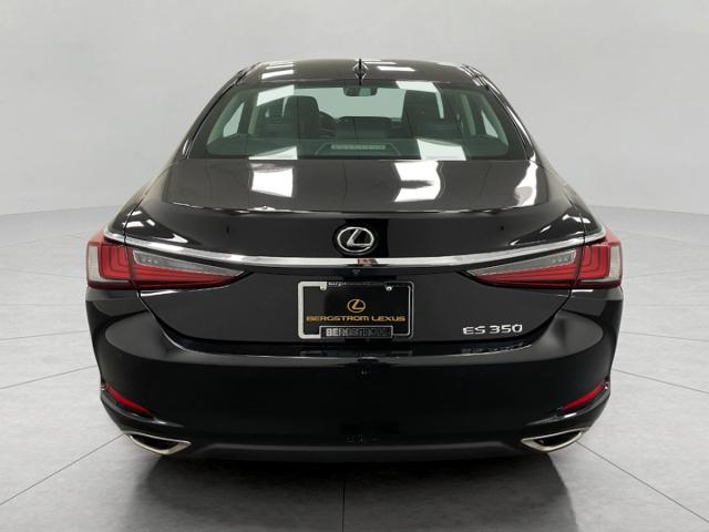 2019 Lexus ES 350 Vehicle Photo in Appleton, WI 54913