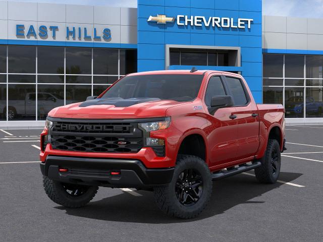 2025 Chevrolet Silverado 1500 Vehicle Photo in Roslyn, NY 11576