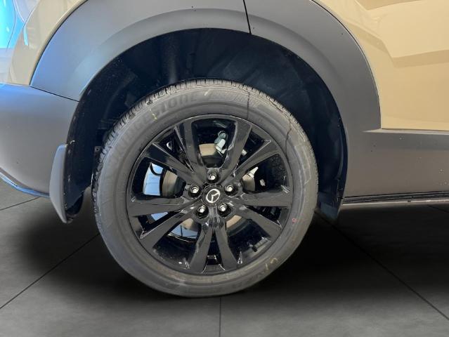2025 Mazda CX-30 Vehicle Photo in Green Bay, WI 54304