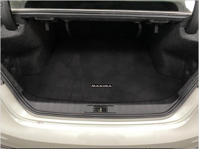 2019 Nissan Maxima Vehicle Photo in Appleton, WI 54913