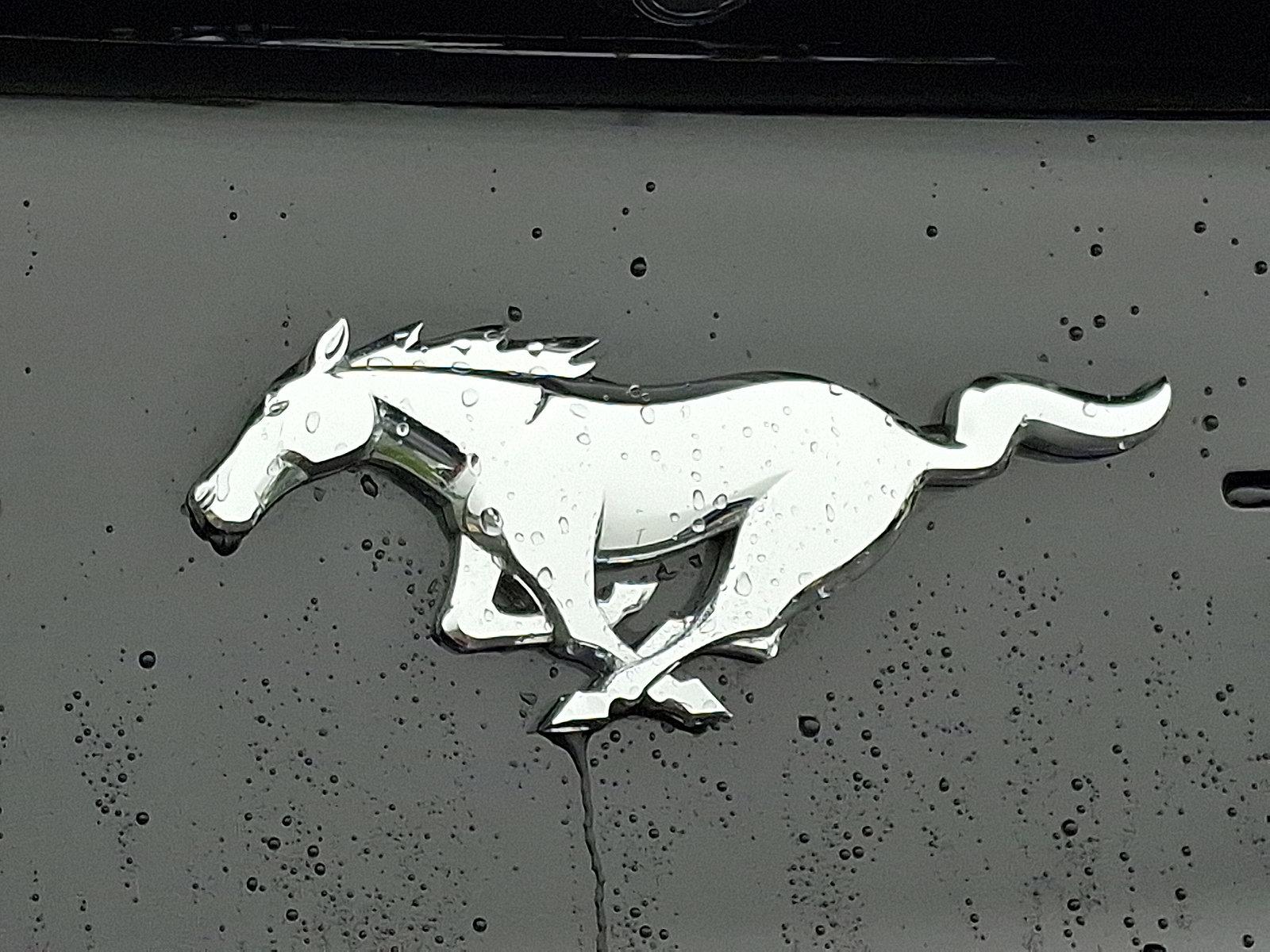2023 Ford Mustang Vehicle Photo in Easton, PA 18045