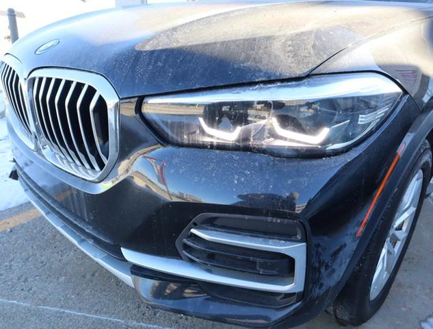 2023 BMW X5 Vehicle Photo in DETROIT, MI 48207-4102