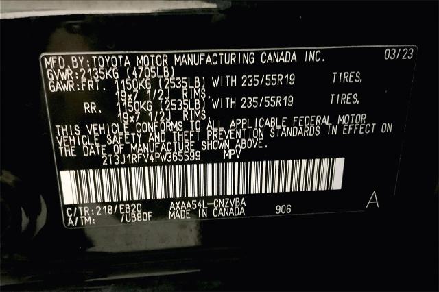 2023 Toyota RAV4 Vehicle Photo in Lees Summit, MO 64086