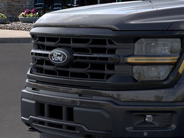 2025 Ford F-150 Vehicle Photo in Weatherford, TX 76087
