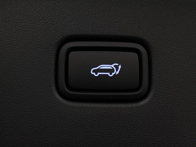 2025 Hyundai TUCSON Hybrid Vehicle Photo in Appleton, WI 54913