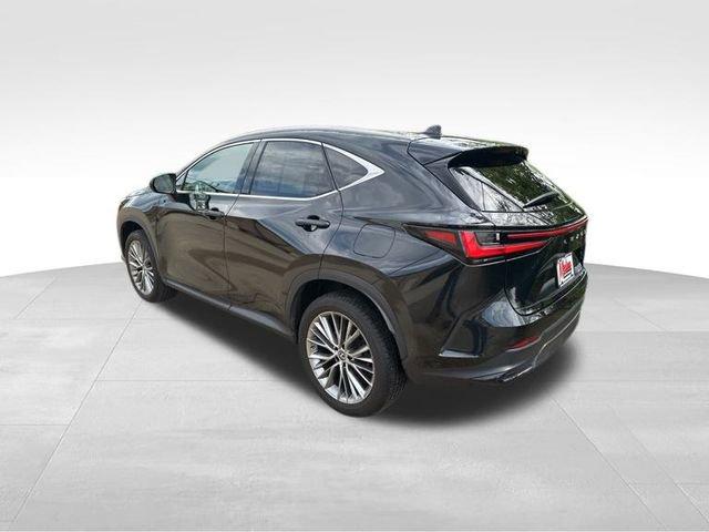 2023 Lexus NX Vehicle Photo in MEDINA, OH 44256-9631