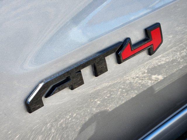 2023 GMC Sierra 1500 Vehicle Photo in Decatur, TX 76234