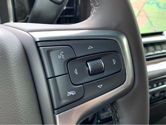 2025 Chevrolet Silverado 1500 Vehicle Photo in BEAUFORT, SC 29906-4218