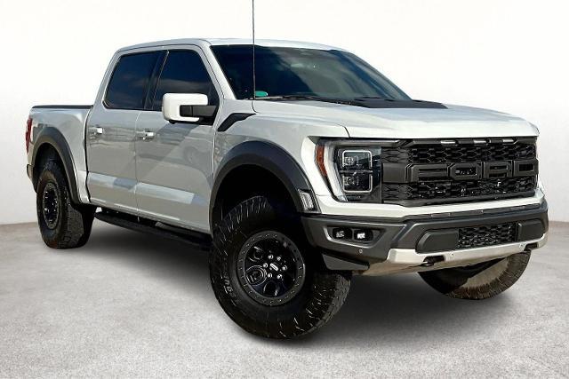 2023 Ford F-150 Vehicle Photo in San Antonio, TX 78230