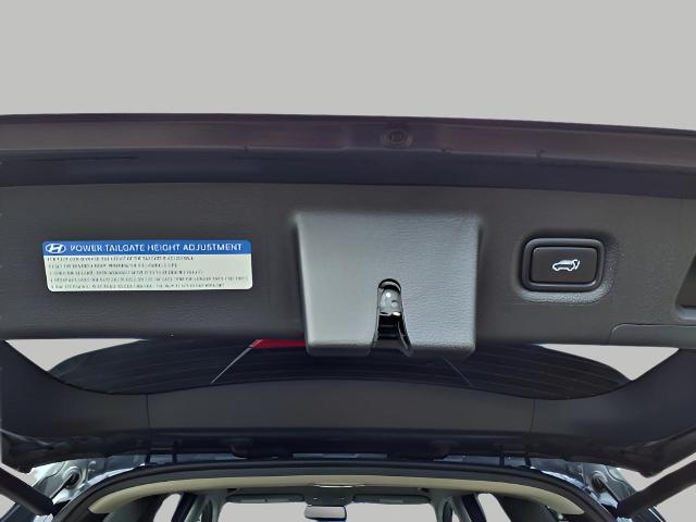 2020 Hyundai SANTA FE Vehicle Photo in Oshkosh, WI 54904