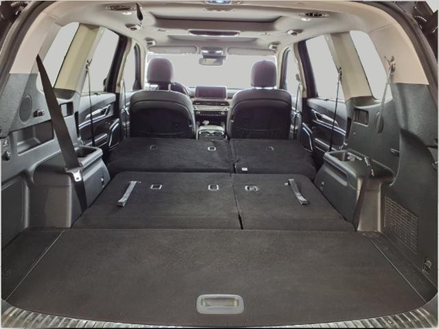 2020 Kia Telluride Vehicle Photo in Appleton, WI 54914
