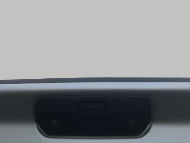 2019 Chevrolet Silverado 1500 Vehicle Photo in GREEN BAY, WI 54303-3330