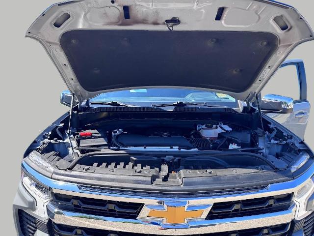 2024 Chevrolet Silverado 1500 Vehicle Photo in Oshkosh, WI 54901