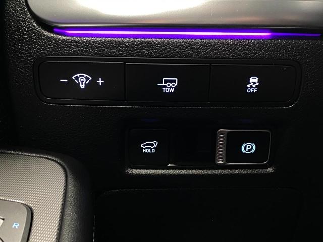 2024 Hyundai PALISADE Vehicle Photo in Appleton, WI 54913
