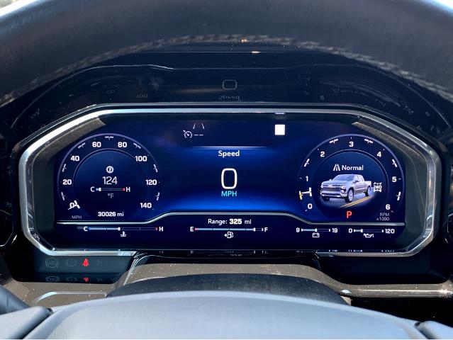 2022 Chevrolet Silverado 1500 Vehicle Photo in BEAUFORT, SC 29906-4218