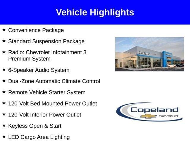 2025 Chevrolet Silverado 1500 Vehicle Photo in BROCKTON, MA 02301-7113