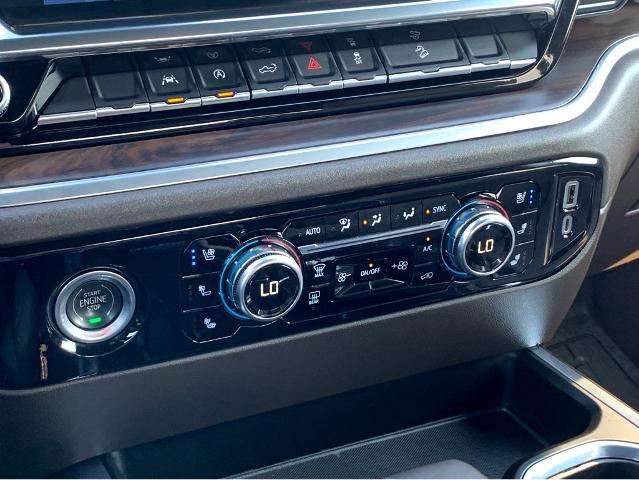 2023 GMC Sierra 1500 Vehicle Photo in BEAUFORT, SC 29906-4218