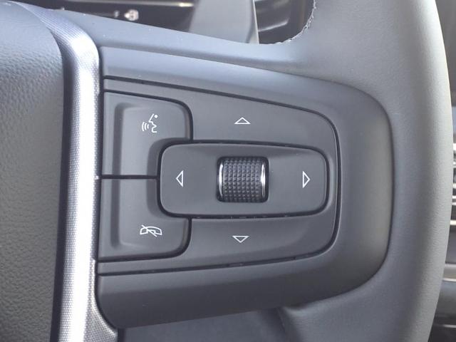 2025 GMC Sierra 1500 Vehicle Photo in Denton, TX 76205