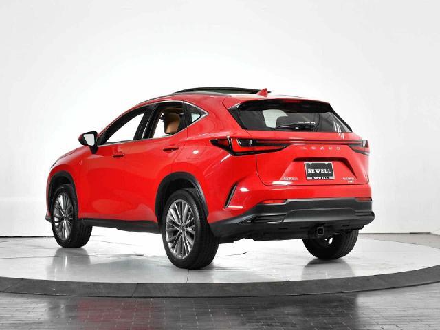 2022 Lexus NX 350 Vehicle Photo in DALLAS, TX 75235