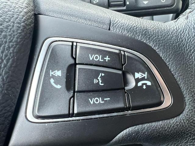 2019 Ford EcoSport Vehicle Photo in Oshkosh, WI 54904