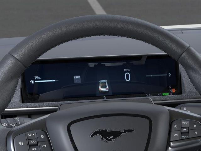 2025 Ford Mustang Mach-E Vehicle Photo in Weatherford, TX 76087