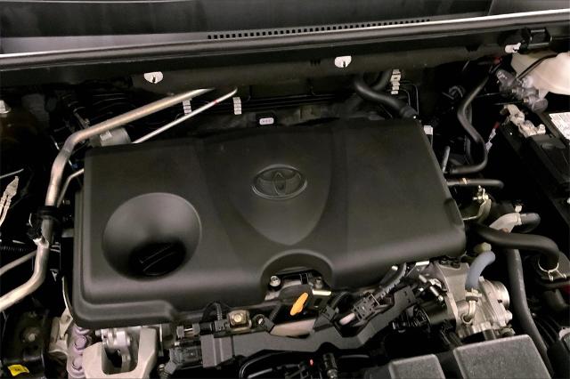 2023 Toyota RAV4 Vehicle Photo in Lees Summit, MO 64086