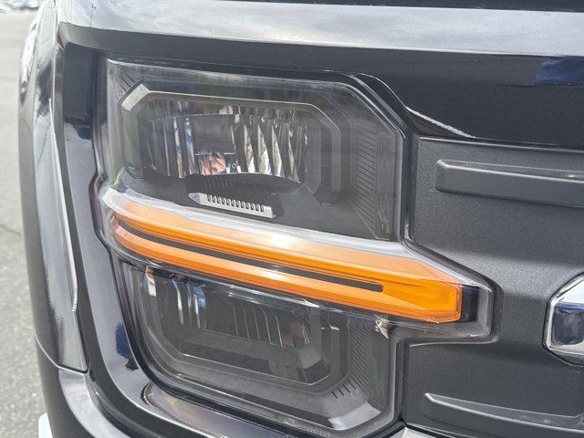 2024 Ford F-150 Vehicle Photo in Charlotte, NC 28212