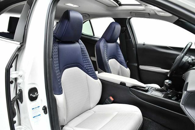 2020 Lexus UX 250h Vehicle Photo in DALLAS, TX 75235