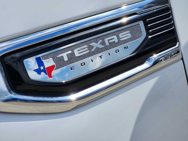 2021 GMC Sierra 1500 Vehicle Photo in DENTON, TX 76210-9321