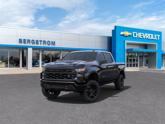 2024 Chevrolet Silverado 1500 Vehicle Photo in GREEN BAY, WI 54304-5303