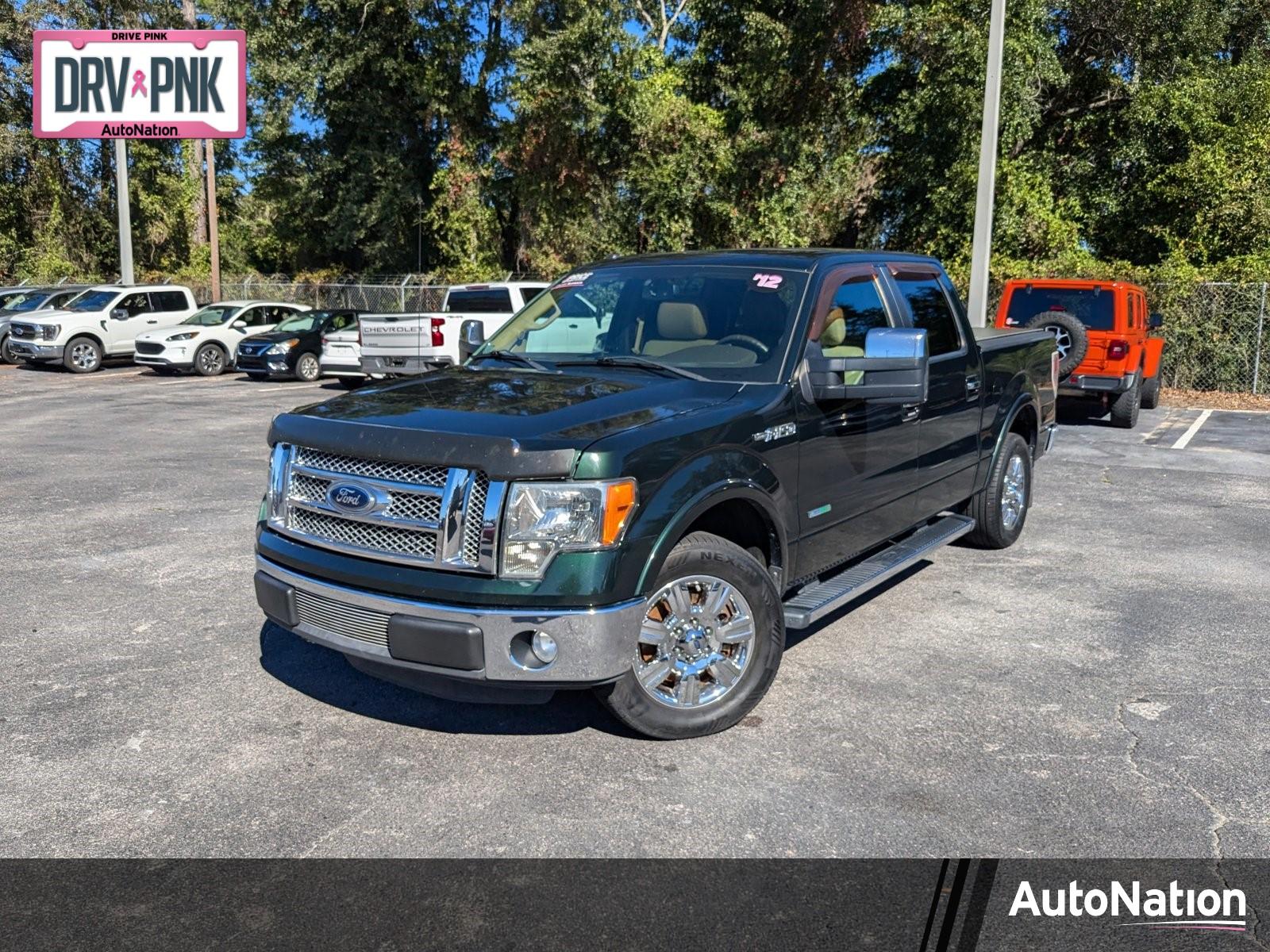 2012 Ford F-150 Vehicle Photo in Panama City, FL 32401