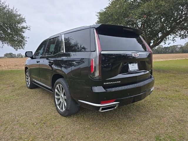 2021 Cadillac Escalade Vehicle Photo in BROUSSARD, LA 70518-0000