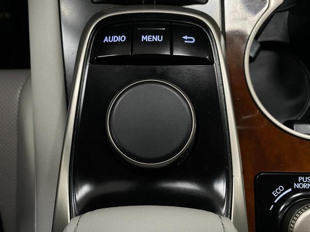 2019 Lexus RX 350 Vehicle Photo in Appleton, WI 54913