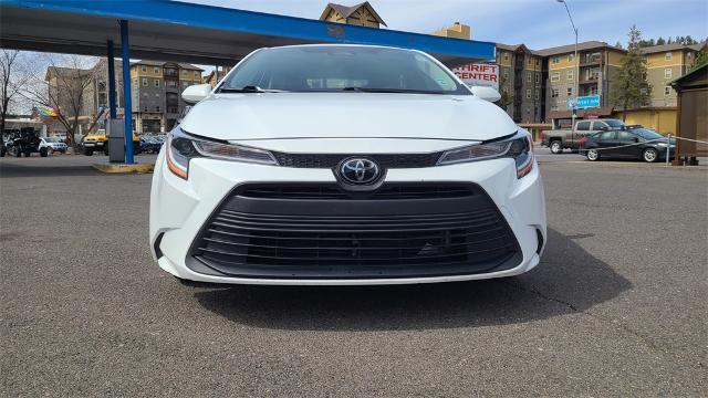 2024 Toyota Corolla Vehicle Photo in FLAGSTAFF, AZ 86001-6214