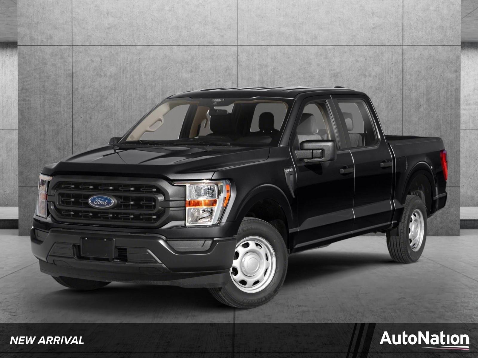 2022 Ford F-150 Vehicle Photo in St. Petersburg, FL 33713